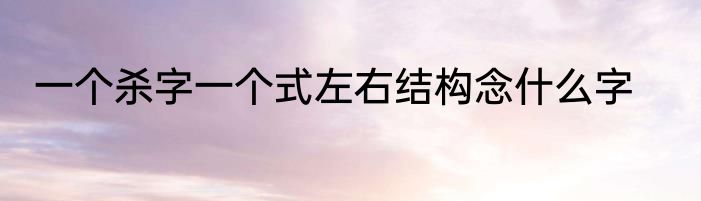 一个杀字一个式左右结构念什么字
