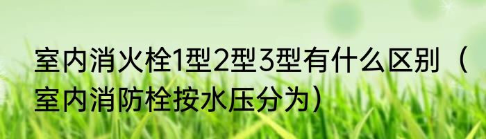 室内消火栓1型2型3型有什么区别（室内消防栓按水压分为）