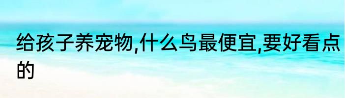 给孩子养宠物,什么鸟最便宜,要好看点的