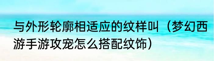 与外形轮廓相适应的纹样叫（梦幻西游手游攻宠怎么搭配纹饰）