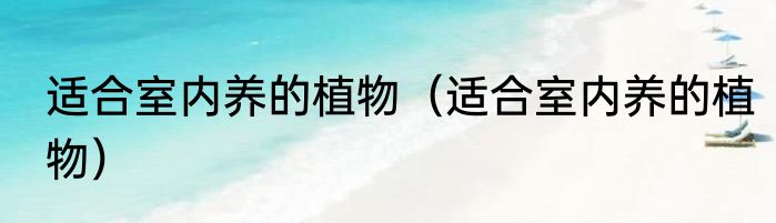 适合室内养的植物（适合室内养的植物）