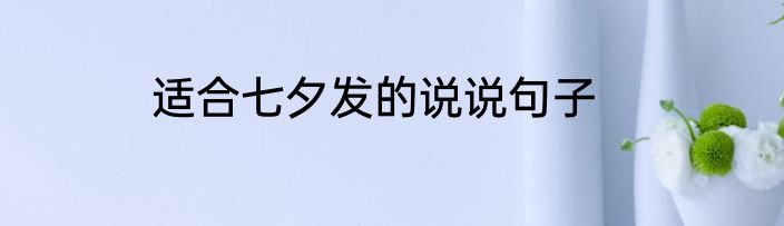 适合七夕发的说说句子