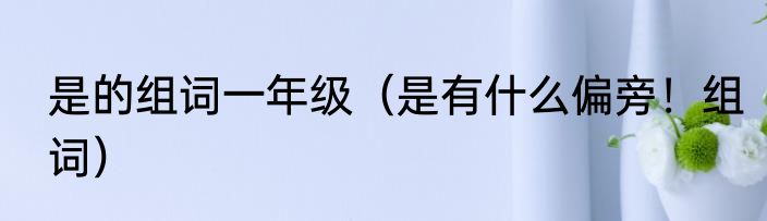是的组词一年级（是有什么偏旁！组词）