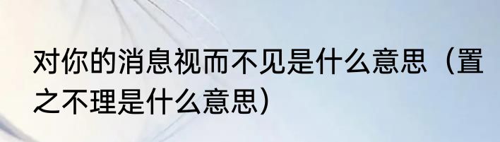 对你的消息视而不见是什么意思（置之不理是什么意思）