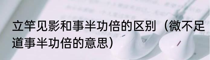 立竿见影和事半功倍的区别（微不足道事半功倍的意思）