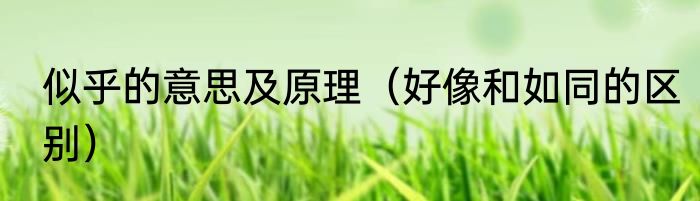 似乎的意思及原理（好像和如同的区别）