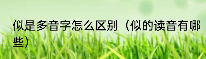 似是多音字怎么区别（似的读音有哪些）