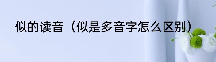 似的读音（似是多音字怎么区别）