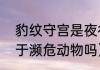 豹纹守宫是夜行动物么（瘤尾守宫属于濒危动物吗）