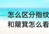 怎么区分指纹上的斗和簸箕（螺和斗和簸箕怎么看）