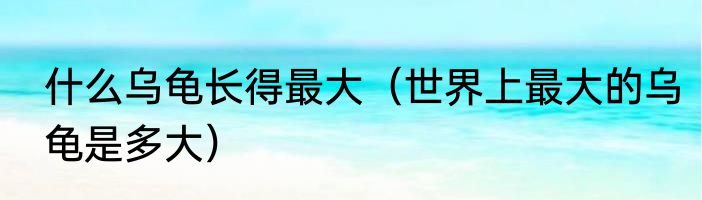 什么乌龟长得最大（世界上最大的乌龟是多大）