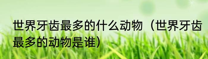 世界牙齿最多的什么动物（世界牙齿最多的动物是谁）
