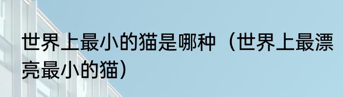 世界上最小的猫是哪种（世界上最漂亮最小的猫）