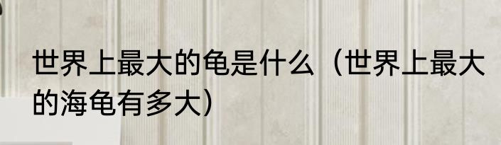 世界上最大的龟是什么（世界上最大的海龟有多大）