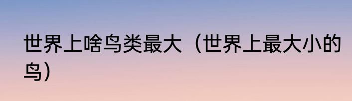 世界上啥鸟类最大（世界上最大小的鸟）
