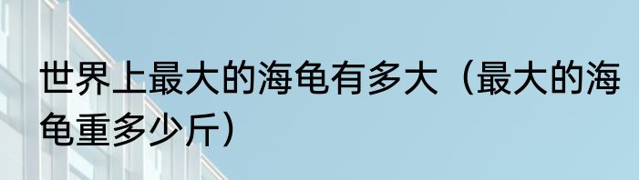 世界上最大的海龟有多大（最大的海龟重多少斤）