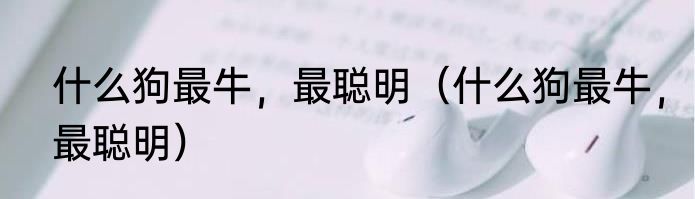 什么狗最牛，最聪明（什么狗最牛，最聪明）