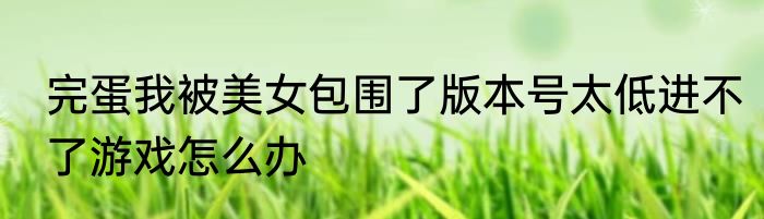 完蛋我被美女包围了版本号太低进不了游戏怎么办