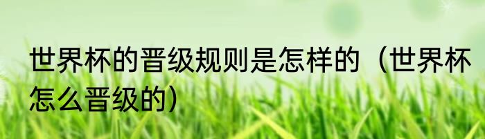 世界杯的晋级规则是怎样的（世界杯怎么晋级的）