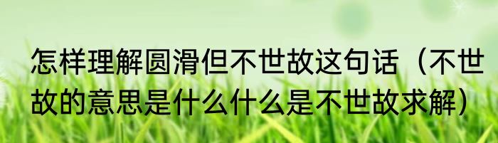 怎样理解圆滑但不世故这句话（不世故的意思是什么什么是不世故求解）