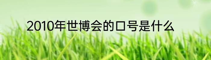 2010年世博会的口号是什么