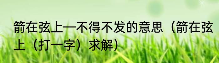 箭在弦上—不得不发的意思（箭在弦上（打一字）求解）