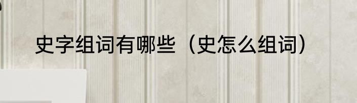 史字组词有哪些（史怎么组词）