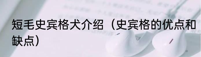 短毛史宾格犬介绍（史宾格的优点和缺点）