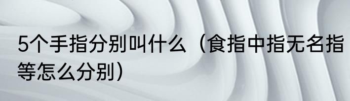 5个手指分别叫什么（食指中指无名指等怎么分别）