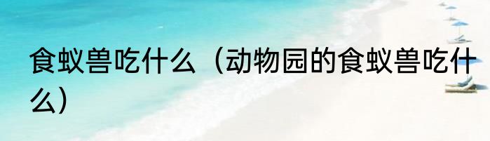 食蚁兽吃什么（动物园的食蚁兽吃什么）