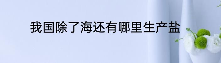 我国除了海还有哪里生产盐