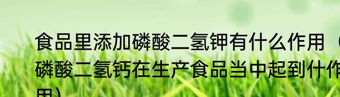 食品里添加磷酸二氢钾有什么作用（磷酸二氢钙在生产食品当中起到什作用）