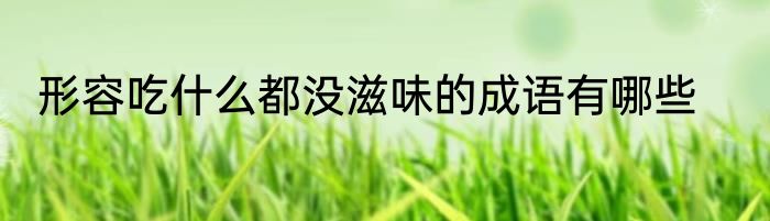 形容吃什么都没滋味的成语有哪些