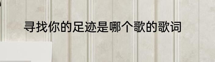 寻找你的足迹是哪个歌的歌词