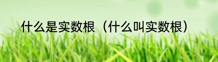 什么是实数根（什么叫实数根）