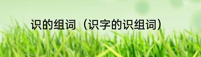 识的组词（识字的识组词）