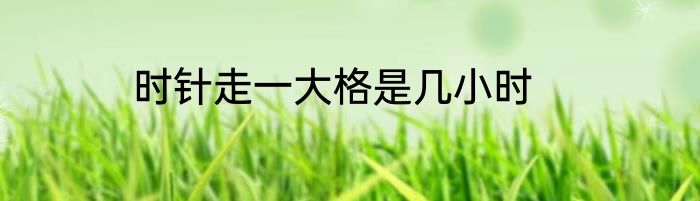 时针走一大格是几小时