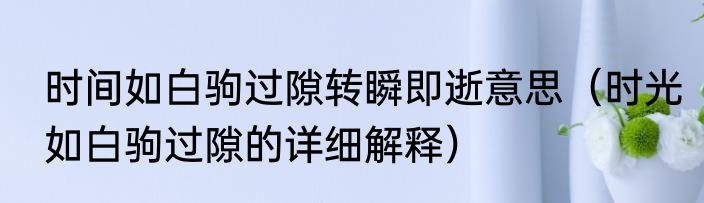 时间如白驹过隙转瞬即逝意思（时光如白驹过隙的详细解释）