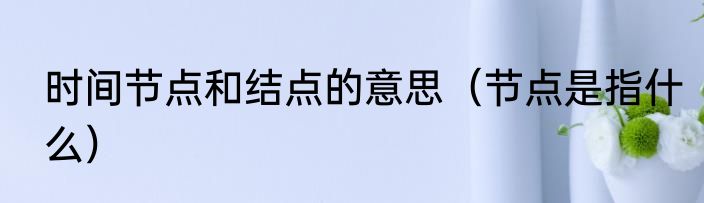 时间节点和结点的意思（节点是指什么）