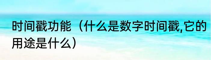 时间戳功能（什么是数字时间戳,它的用途是什么）