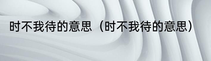 时不我待的意思（时不我待的意思）
