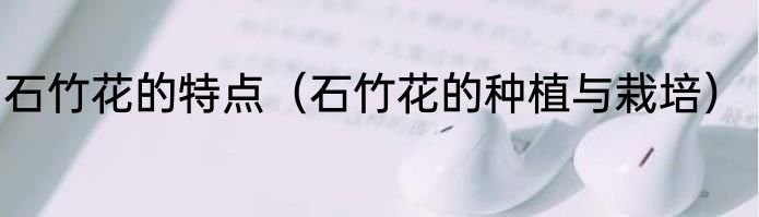 石竹花的特点（石竹花的种植与栽培）