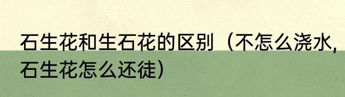 石生花和生石花的区别（不怎么浇水,石生花怎么还徒）