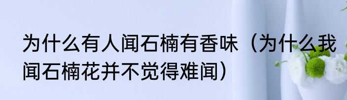 为什么有人闻石楠有香味（为什么我闻石楠花并不觉得难闻）