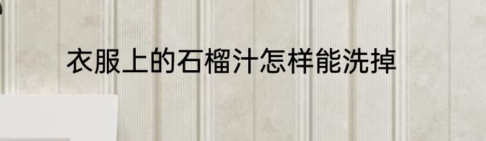 衣服上的石榴汁怎样能洗掉