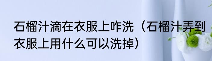 石榴汁滴在衣服上咋洗（石榴汁弄到衣服上用什么可以洗掉）