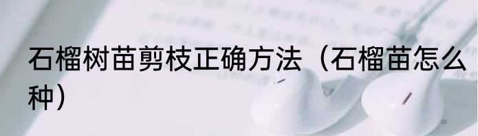 石榴树苗剪枝正确方法（石榴苗怎么种）