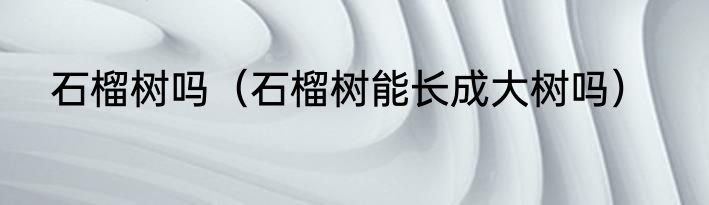 石榴树吗（石榴树能长成大树吗）