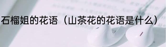 石榴姐的花语（山茶花的花语是什么）