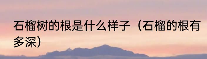 石榴树的根是什么样子（石榴的根有多深）